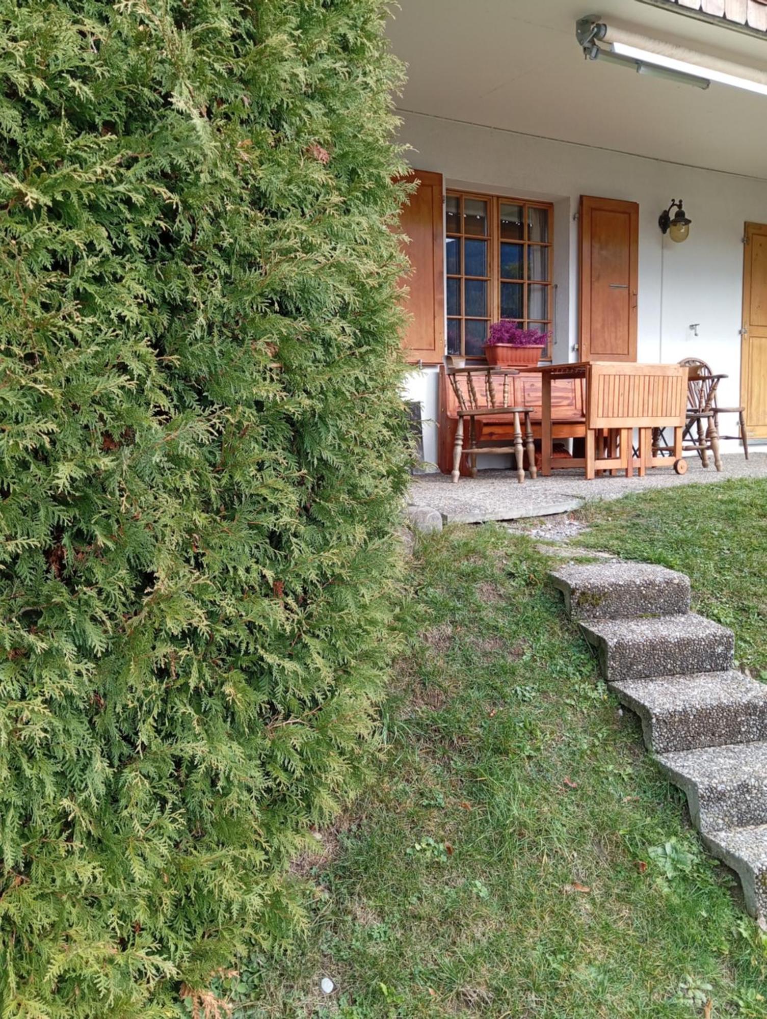 Cozy Apartment In The Heart Of The Alps Chateau-d'Oex Exterior foto