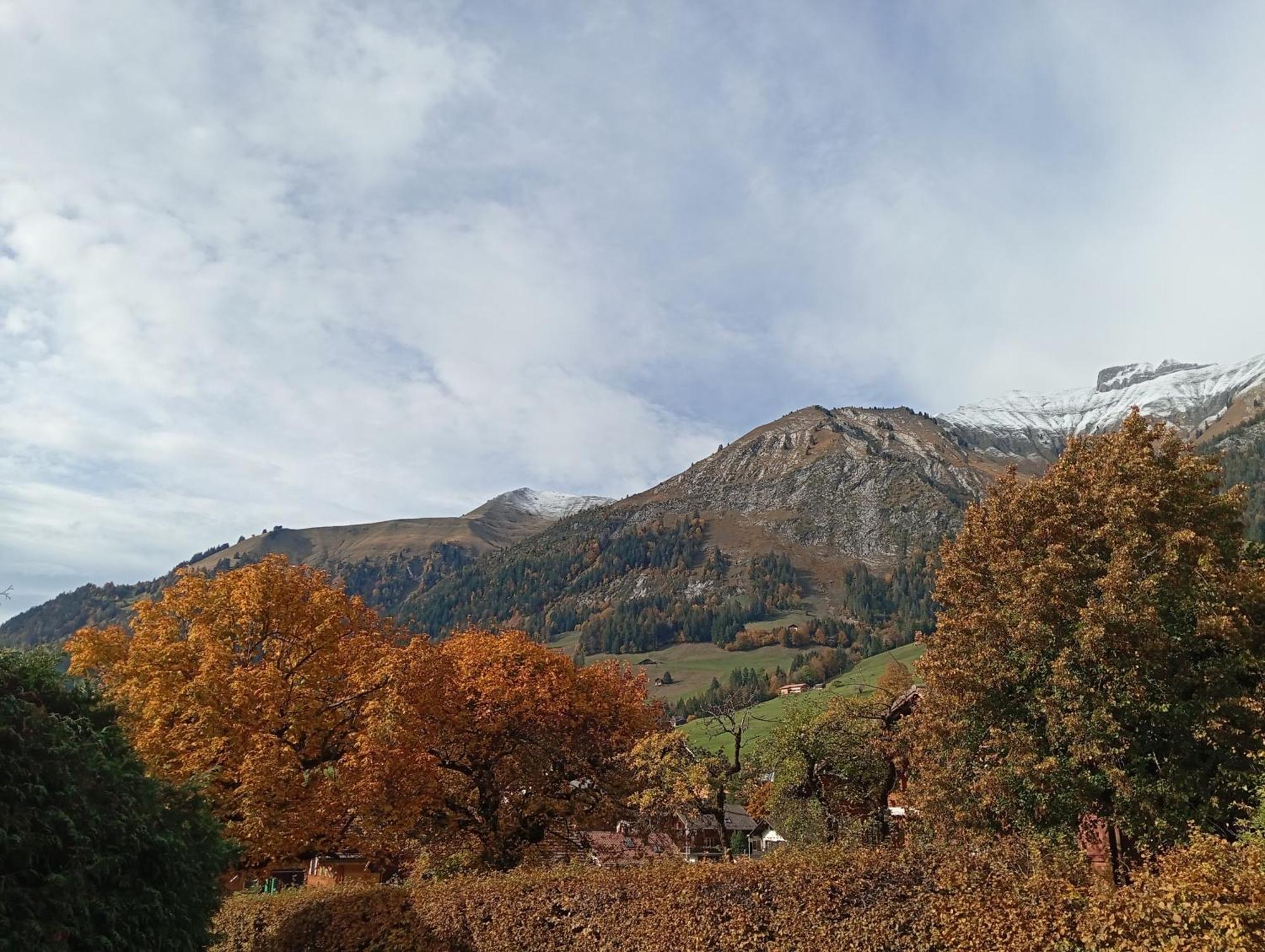 Cozy Apartment In The Heart Of The Alps Chateau-d'Oex Zimmer foto
